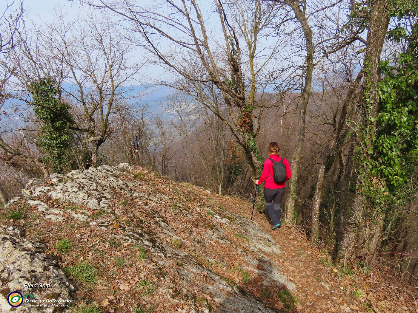 64 Scendiamo al Roccolo della Passata dal ripido sentiero 571-Passo Alpino.JPG